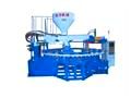 ZZ712S PVC Crystal Sandal Injection Machine